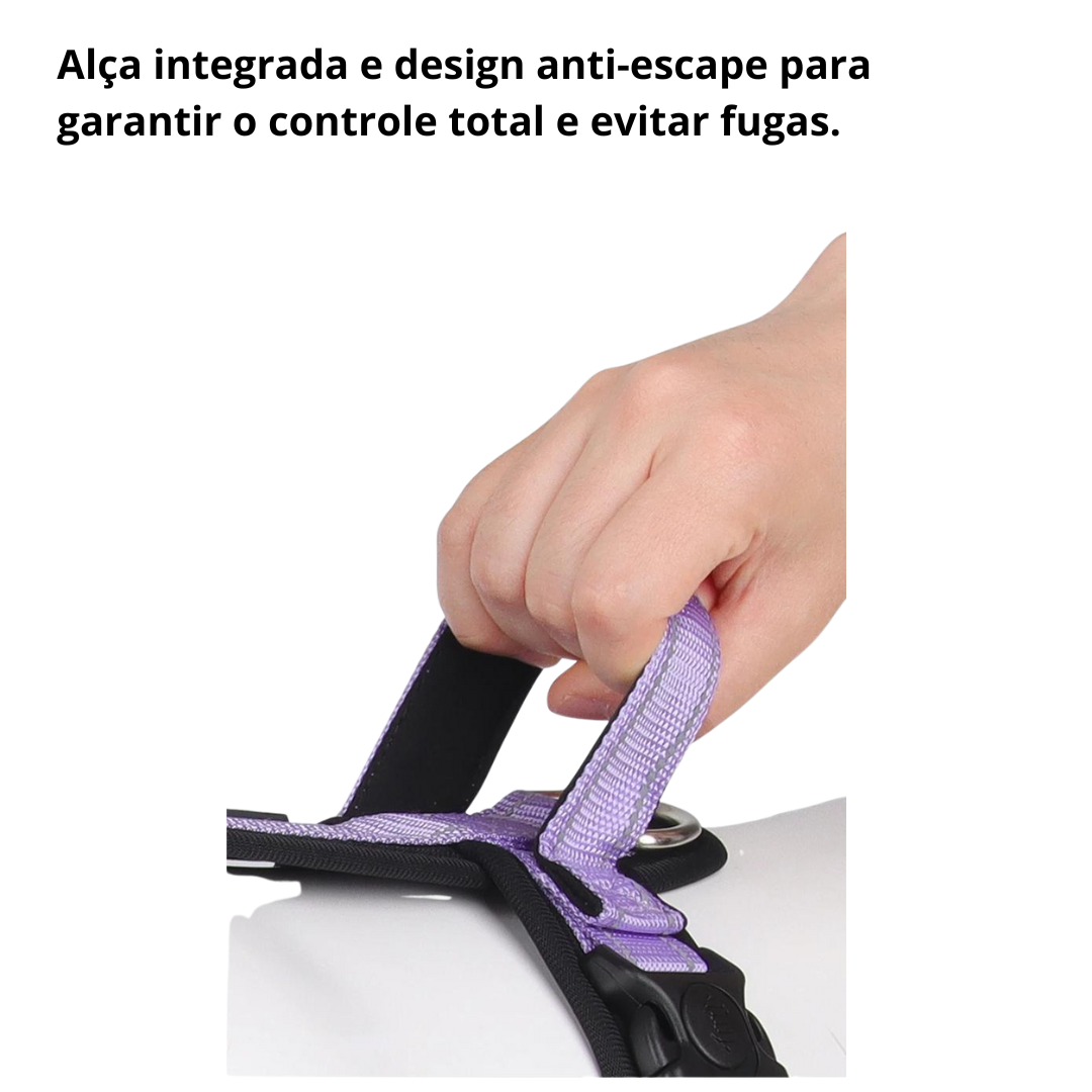 peitoral h para cachorro